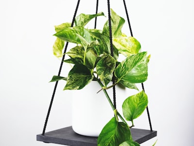 足球运动员带球连续过人突破防线的技术展示瞬间